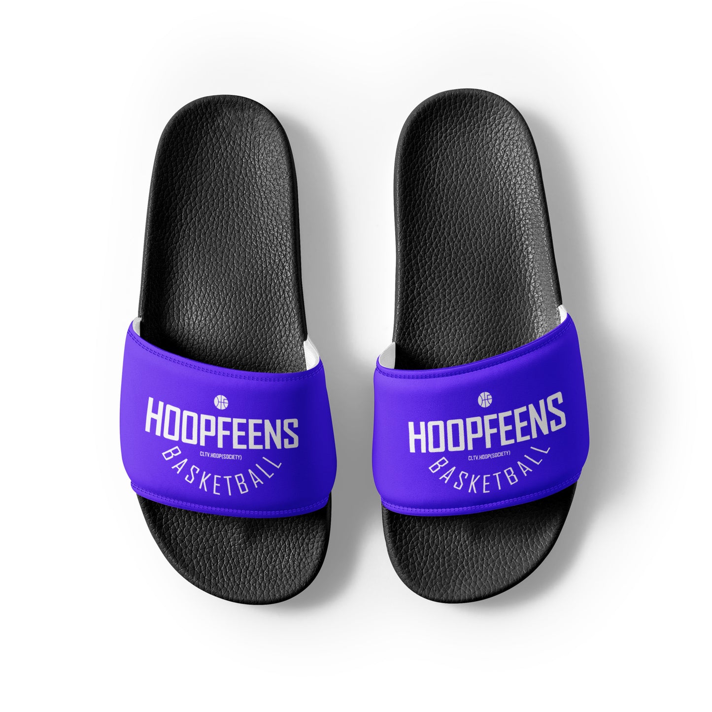 Team HOOP FEENS Slides